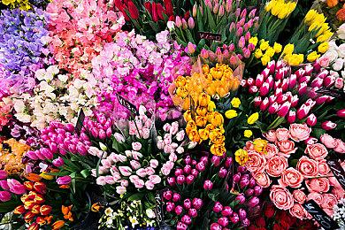 《咚奇刚：蕉力全开》热度飙升 预告2天点击330万超越马车