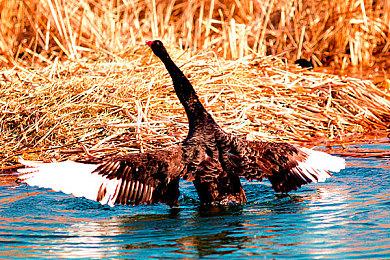 《伊甸幸存者》Steam抢先体验 科幻风吸幸类型机甲战斗