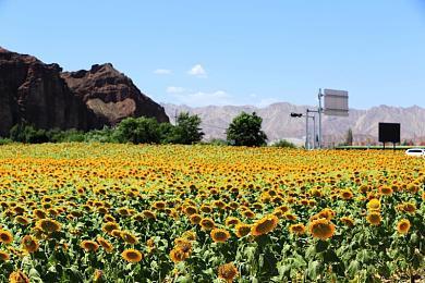 《无限机兵》免费更新上线！挑战极限的【半虚化】模式